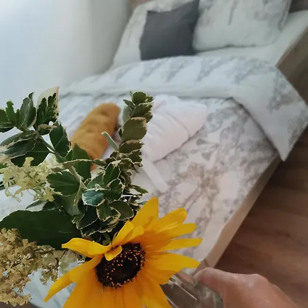 Minidomeček Páteček Сasa de vacaciones